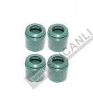 Seal- Engine Valve ExViton Type