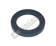 Shaft Seal