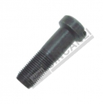 Crown Wheel Bolt 
