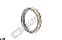 DİFERANSİYEL KEÇESİ COMBİ 85x110x14, 5