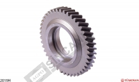Gear Z:43