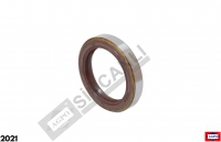 ŞANZIMAN ÖN KEÇE VİTON L1L 45x62x10 45744-V