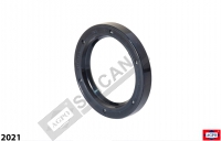 Rotary Shaft Seal