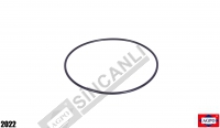 Oring Flywheel Housing