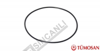 ÜST GRUP DİŞLİ O'RİNG-2.62x101.27