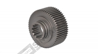Gear Segmented