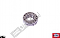 Gear Bearing 30x62x20