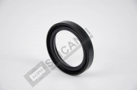 PRİZDİREK KEÇE 45x62x10 45198