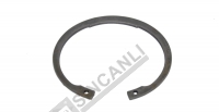 Snap Ring