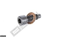 Shaft Bolt