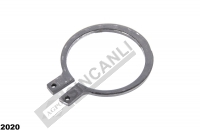 AYNA MAHRUTİ DİŞLİ SEGMANI