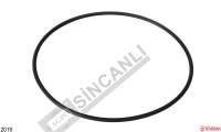 O-Ring