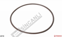 O-Ring