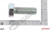 Bolt M10X1.25x30