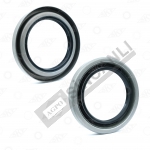 Oil Seal(Skt-412121)