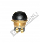 Push Button Switch Brass (Horn)