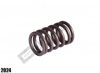 Valve Spring