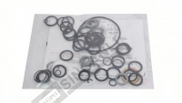 Hydraulic Pump Seal Kit