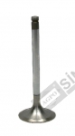 Inlet Valve Std