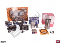 Engine Overhaul Kit W/Mahle Piston-Ring & Liner