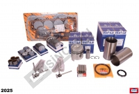 Engine Overhaul Kit W/Mahle Piston-Ring & Liner