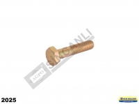 ÖN MUHAFAZA SAPLAMASI