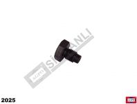 ŞANZIMAN ŞAFT VİDASI