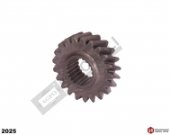 ŞATIL DİŞLİ Z:21