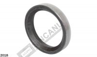Rear Axle Seal