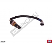 ŞANZIMAN MÜŞÜRÜ