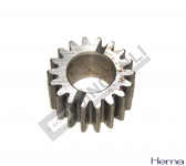 Pinion Gear