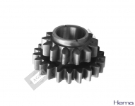 Reverse Gear Z:13/21