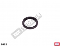 Shaft Seal