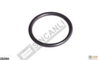 Oil Seal