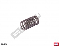 Valve Spring