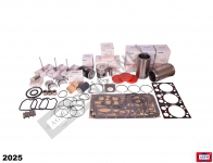 Overhaul Kit
