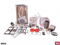 Overhaul Kit