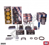 Overhaul Kit