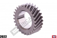Crankshaft Gear