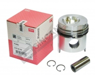 Piston & Ring Assy 0.30 