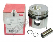 Piston & Ring Assy 0.20 