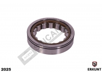 ALT GRUP RULMAN UÇ ZF RNU 209E