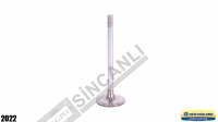 Inlet Valve Std 