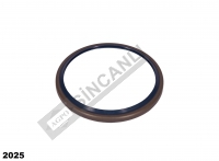 ÖN AKSON KEÇESİ TEK ÇEKER