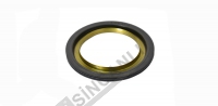 Oil Seal