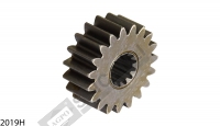 Gear 19/T- Ipto Rear Pump Drive