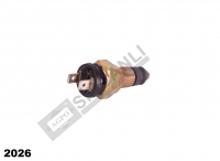 Brake Sensor