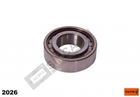 Bearing, Crown Wheel & Pinion