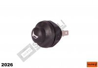 Horn Switch