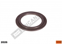 Thrust Washer